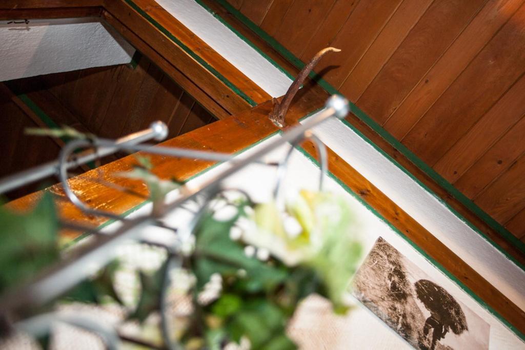 Chalet Appartement Alpenherz Зальбах-Хинтерглемм Номер фото